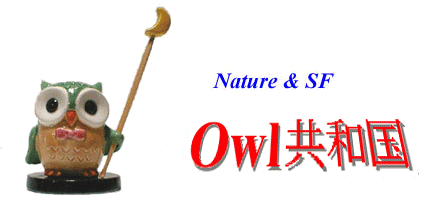 Owl共和国タイトル